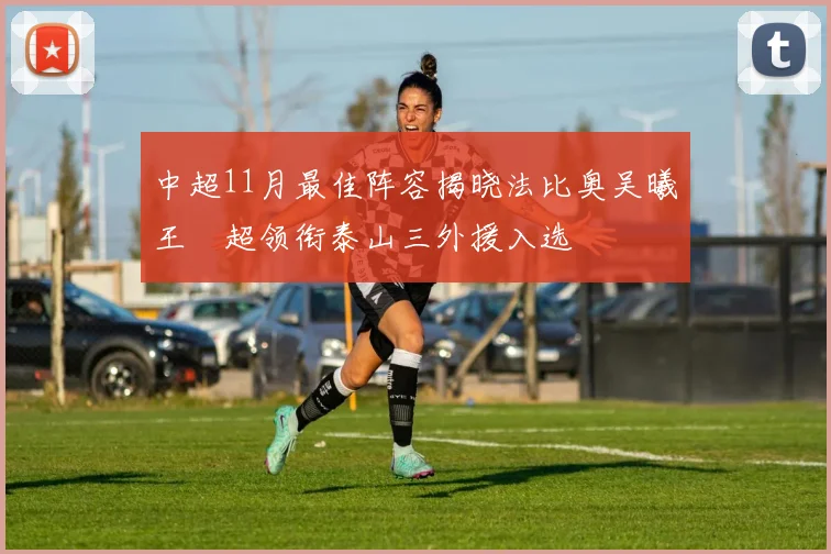 中超11月最佳阵容揭晓法比奥吴曦王燊超领衔泰山三外援入选