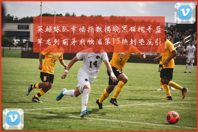 英超球队幸福指数揭晓黑猫枪手蓝军名列前茅利物浦第15热刺垫底引关注