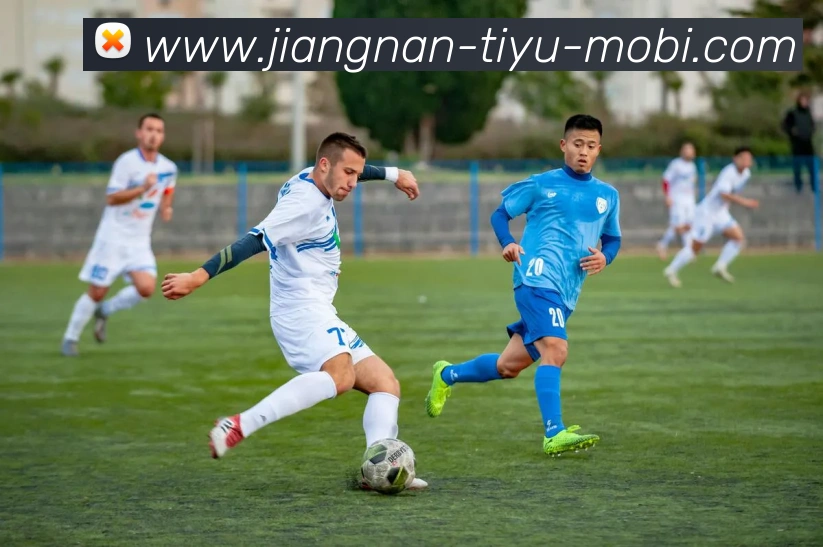 多媒体互动体验